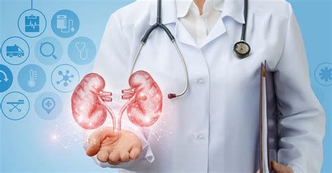 what is renal nephrology.